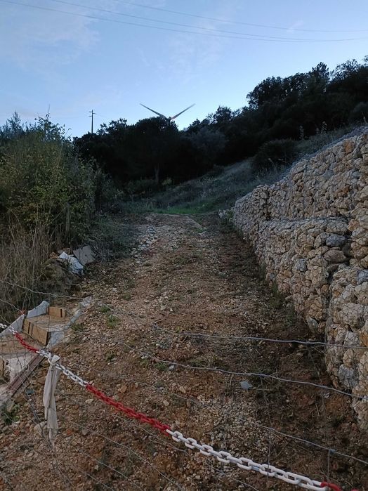 Terreno em Lousa