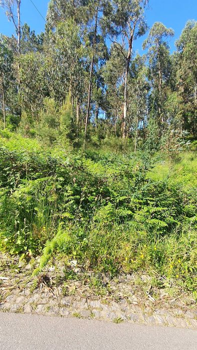 Terreno  para construção, com 2147 m2, em Telões - Amarante