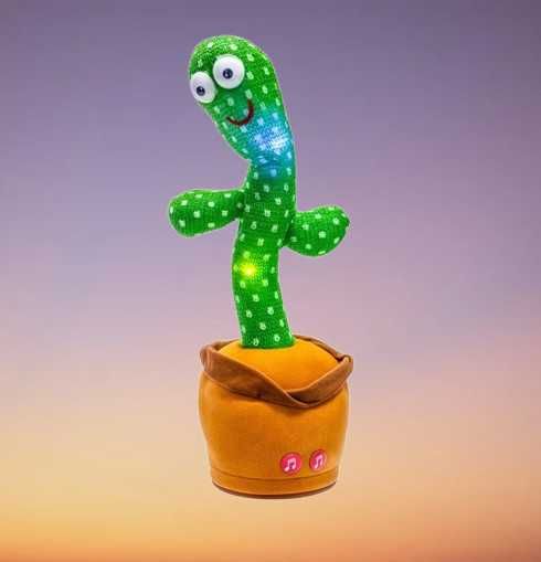 coral kaktus Rhipsalis cereuscula 'Coral Cactus' – DesertScapeSucculent main image 0