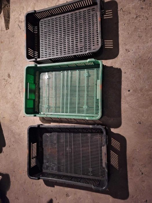 Skrzynka na owoce i warzywa CZESZKA