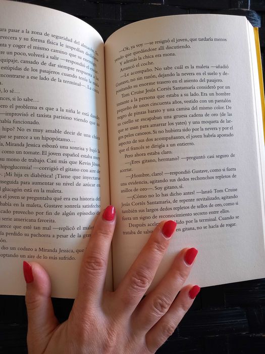 El Increíble Viaje del Faquir que se Quedó Atrapado... (espanhol)