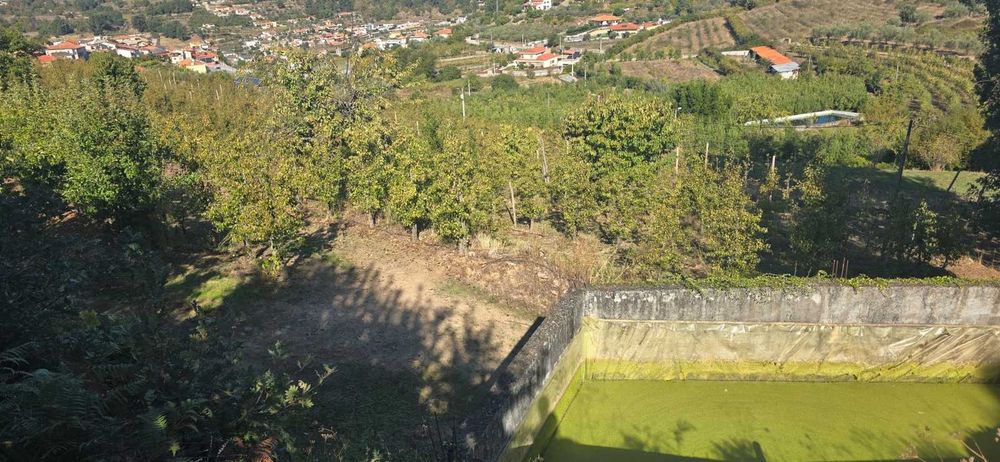 Vende-se Quinta de Santo Antonio