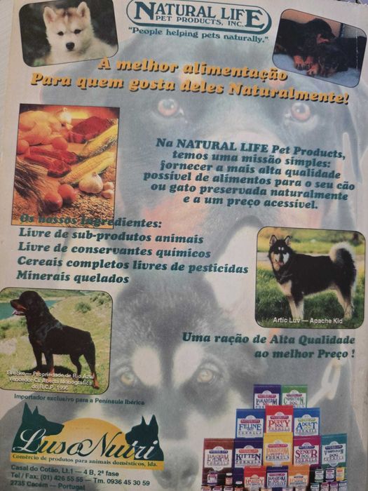 Guia Prático para Educar e Cuidar melhor do seu Cão