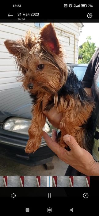 Хлопчик дуже гарний