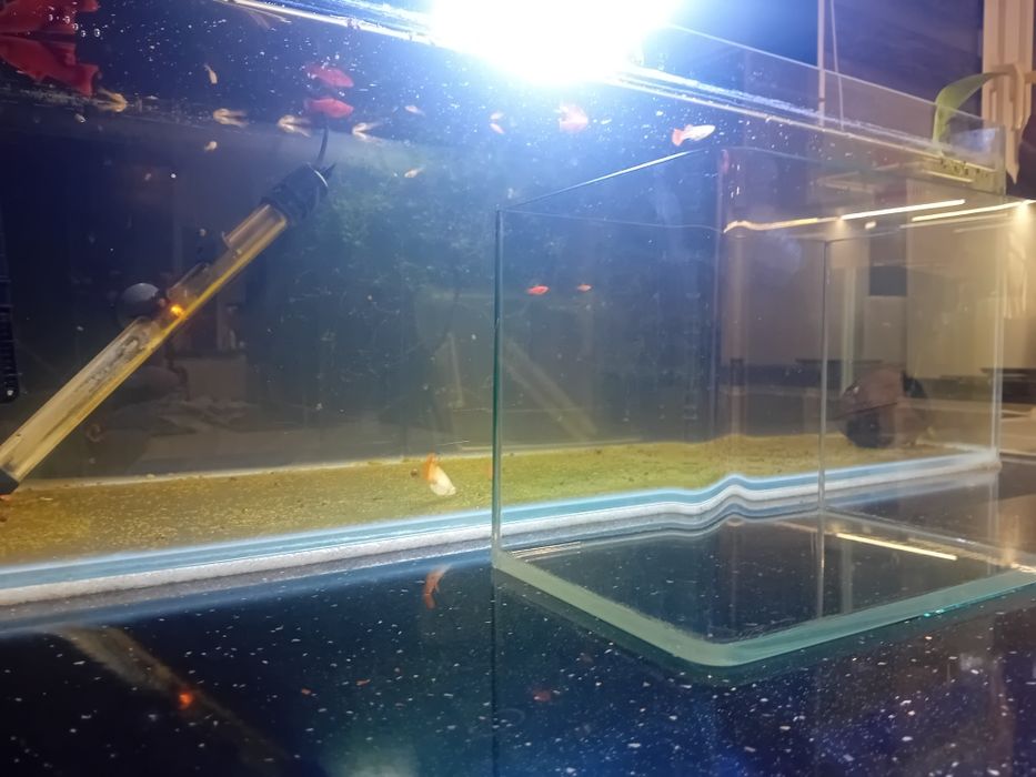 Akwarium premiumnano  opti
