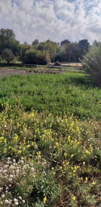 Продаж земельної ділянки в с. Германівка, Обухівський район