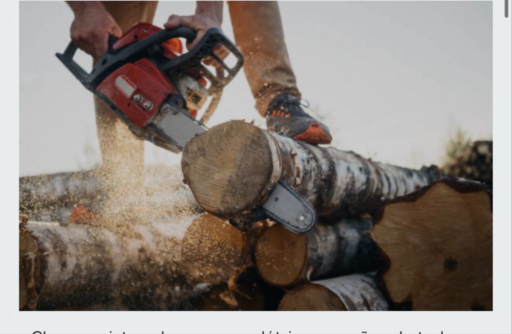 Poda de pinheiros, abate de árvores e limpeza  de terrenos!!!