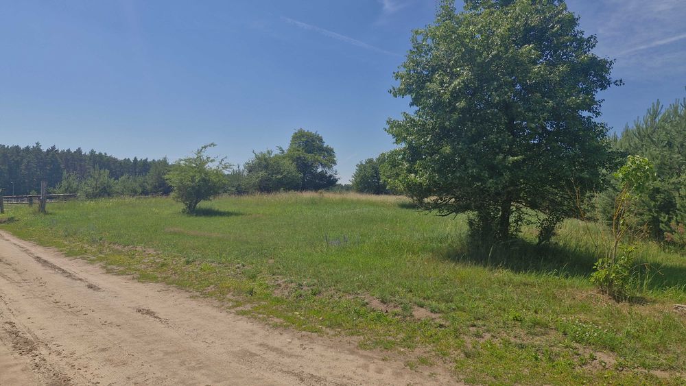 Malownicza działka 2400 m² | Sąsiedztwo lasów, łąk i stadniny koni | Zbierkowo k. Pobiedzisk