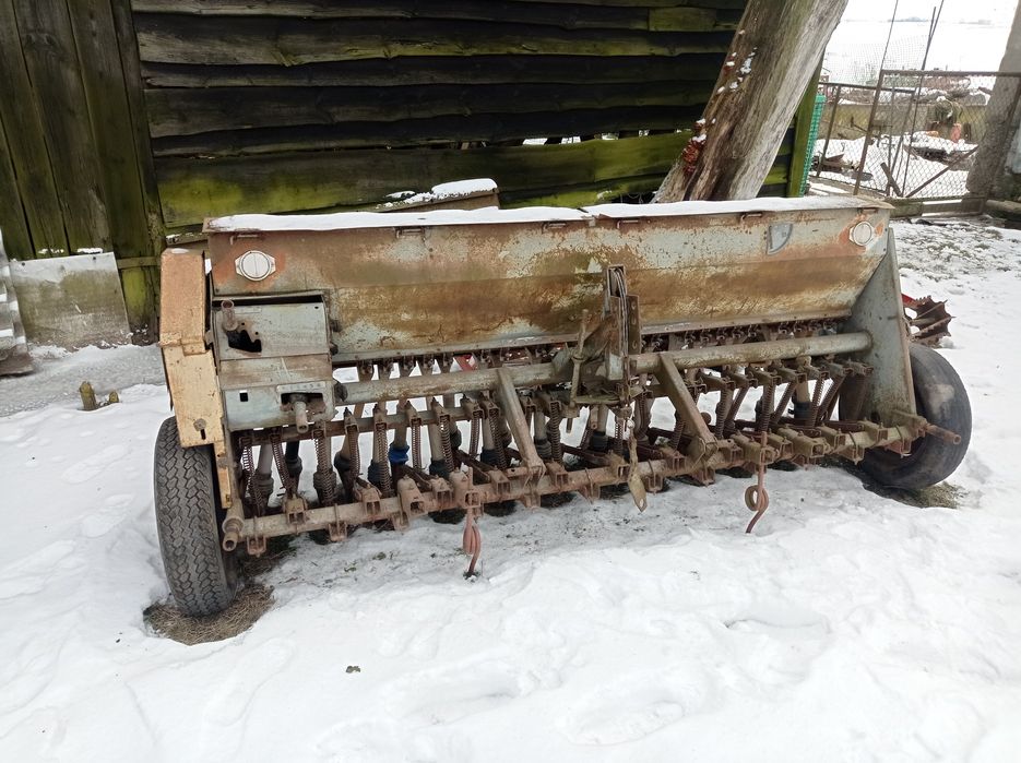 Zboże jęczmień do siewu ,siewnik poznaniak