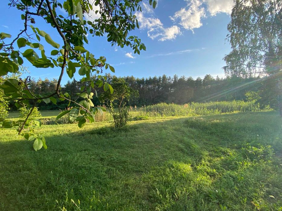 Дача в с/т Хімік , затишне місце ,добротний будинок