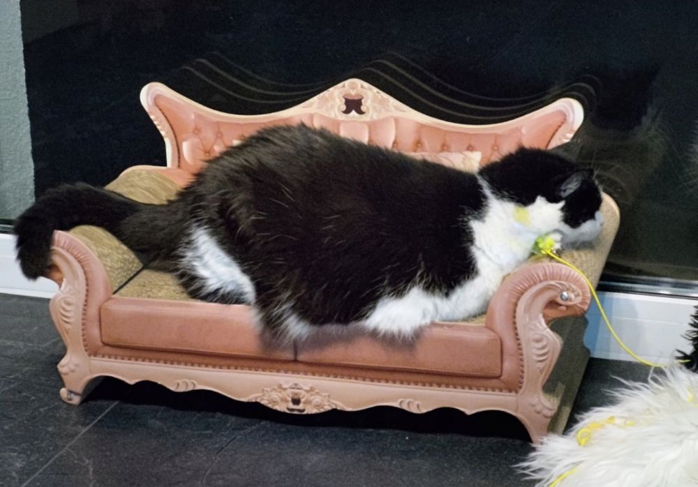 Duży drapak sofa dla kota legowisko tekturowe XL