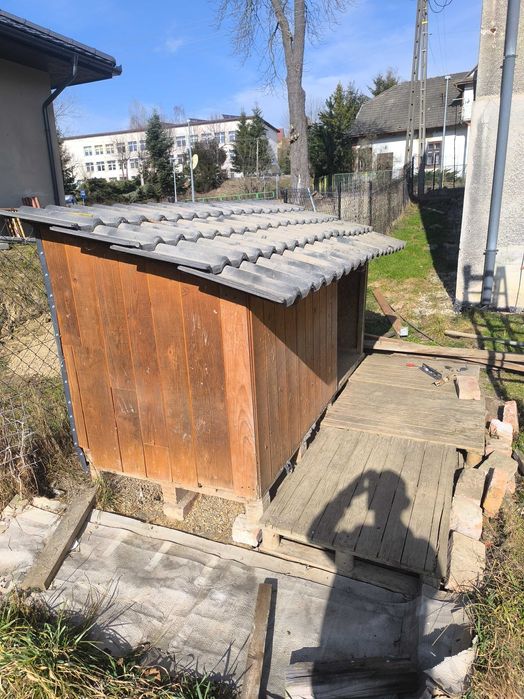 Buda dla dużego psa