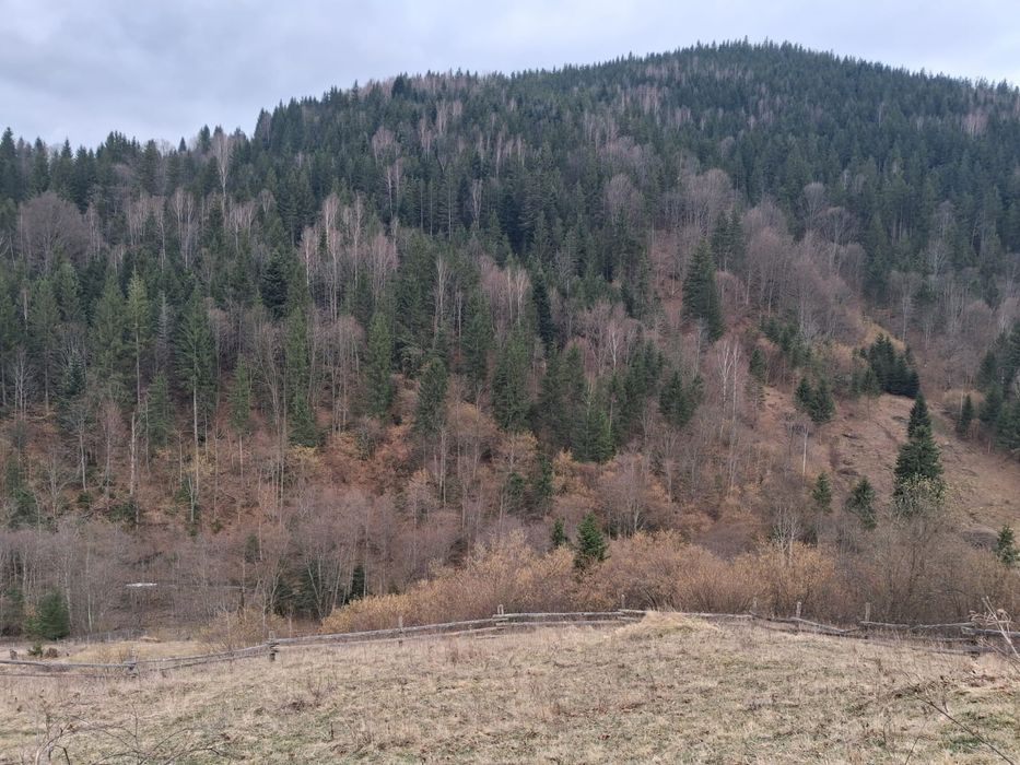 Земельна ділянка Криворівня