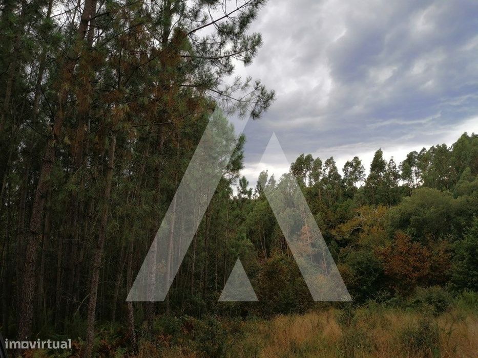 Terreno Urbano com 1420 m2 para construção de Moradia no Carvoeiro