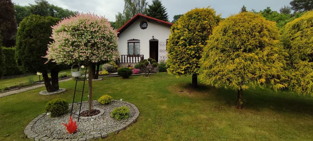 Sprzedam działkę rekreacyjną