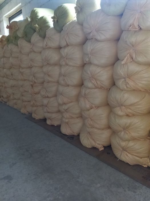 Sprzedam owies workowany 2025r.