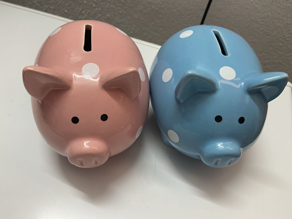 Two Piggy Banks433224289963233281