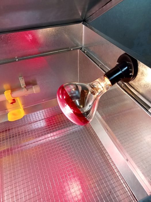 Брудера б/у для курчат на 100шт