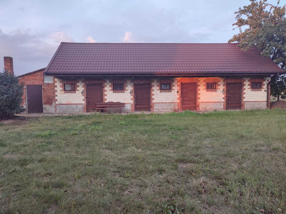 Zdjęcie 6