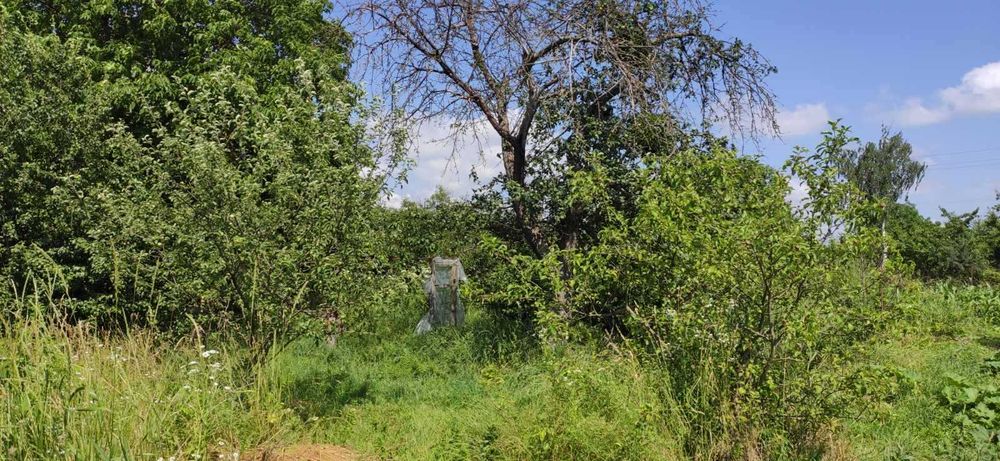 (3) Продам земельну ділянку в с. Сальник 0925