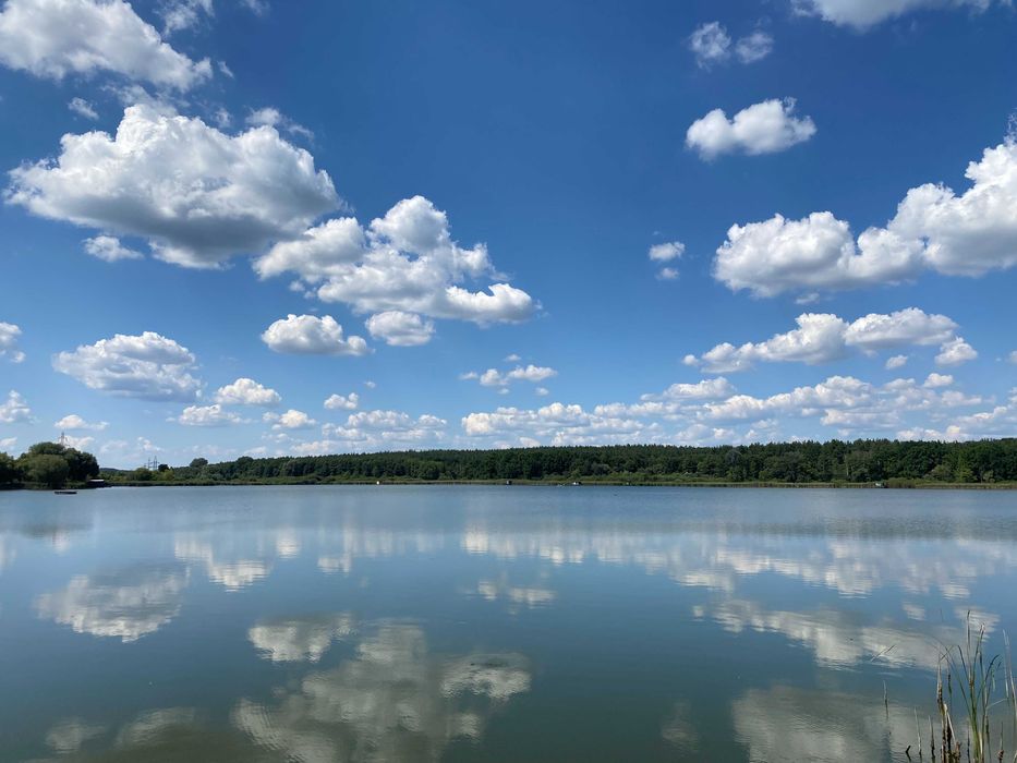Земля: річка Сіверка, Чернечий ліс та озеро Ходосівка, вул. Набережна,