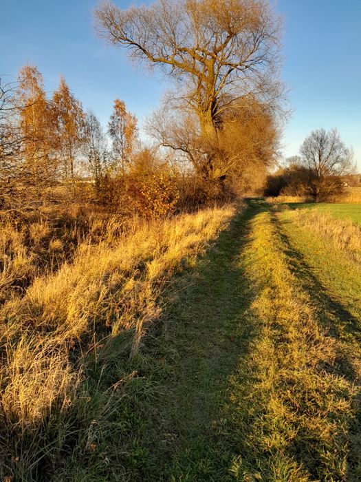 Działka rolna 1,30ha na sprzedaż, również dla nie rolnika