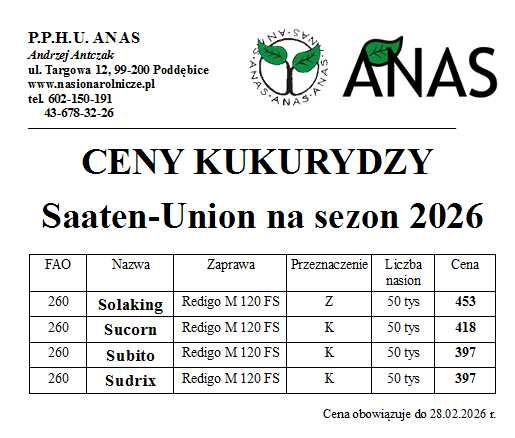 Pszenica jara Kwalifikowany materiał siewny C1 WPB Pebbles