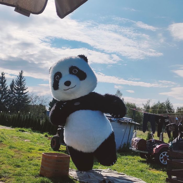 Wynajem dmuchanego stroju   Panda i stitch oraz biały mis