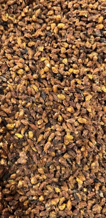 Обліпиха суха .Облепиха сушеная.