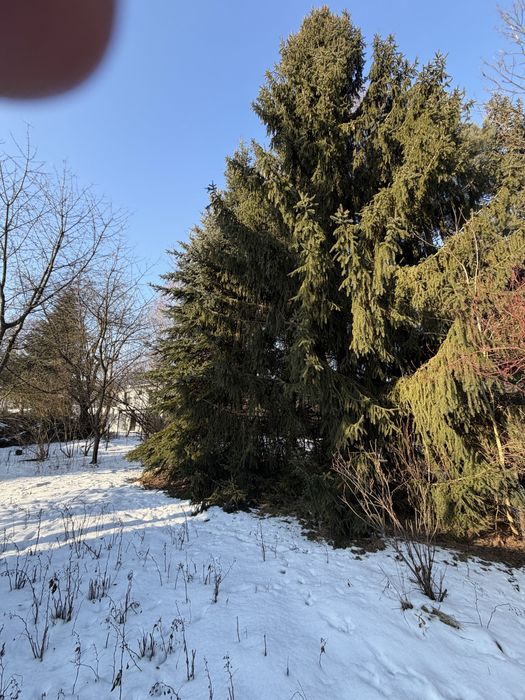 Dzialka 540 m2 ROD ul.Rybna