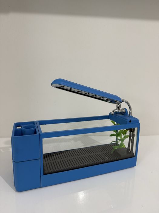 Mini aquário para peixes