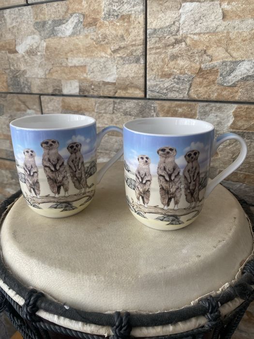 Kawa herbata Leonardo