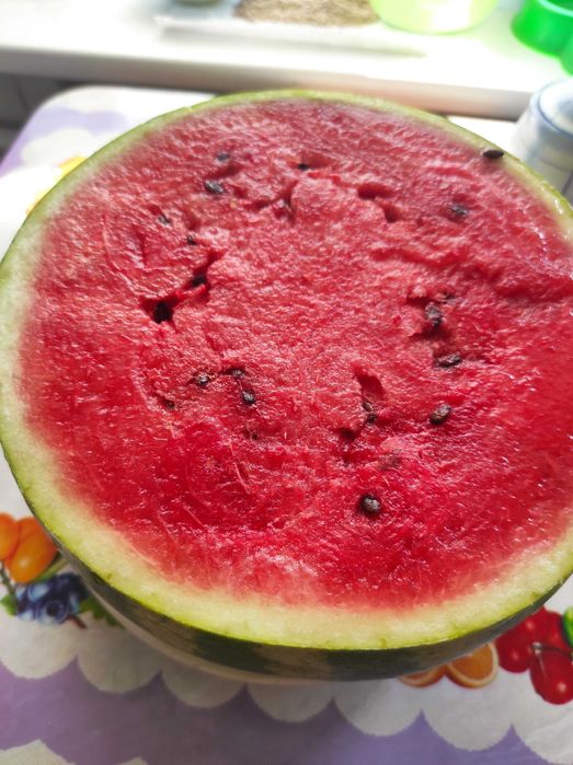 Насіння кавуна, дині