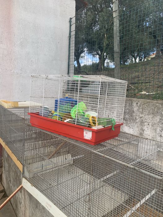 Gaiola para amster como nova