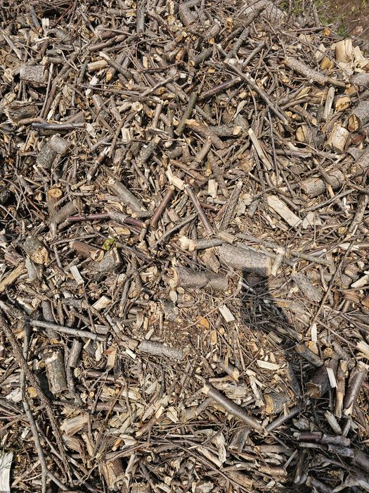 Zrąbki oddam za darmo