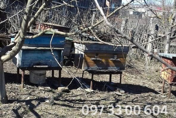 Вулики, медогонка, підставки