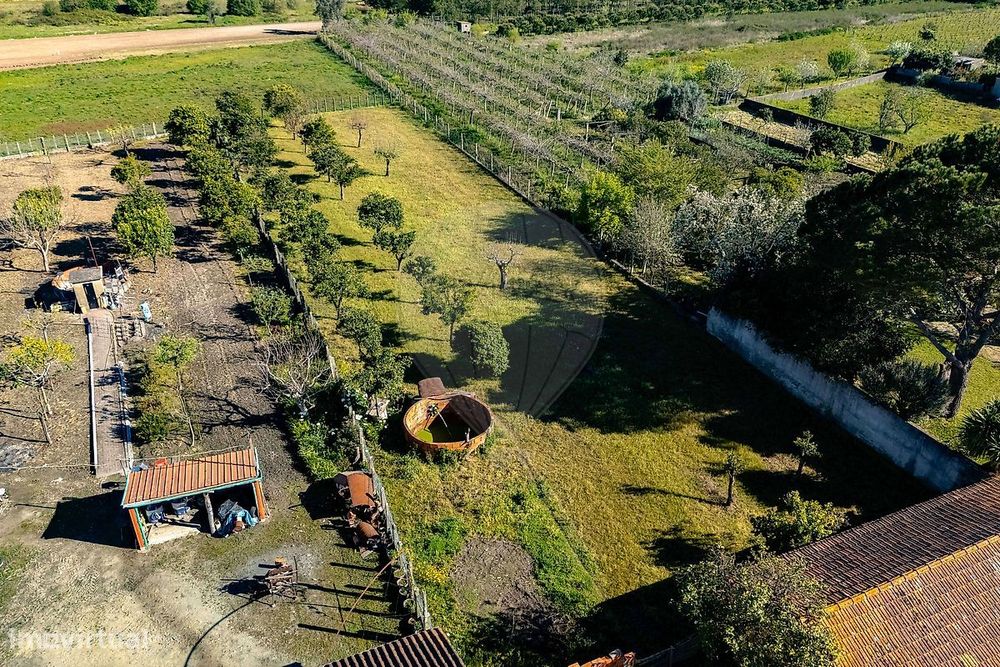 Terreno  para venda