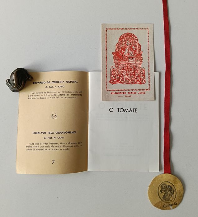 O tomate: Sua história, valor químico-medicinal, utilidade na cozinha e forma de come-lo cru - indicado em mais de 50 doenças