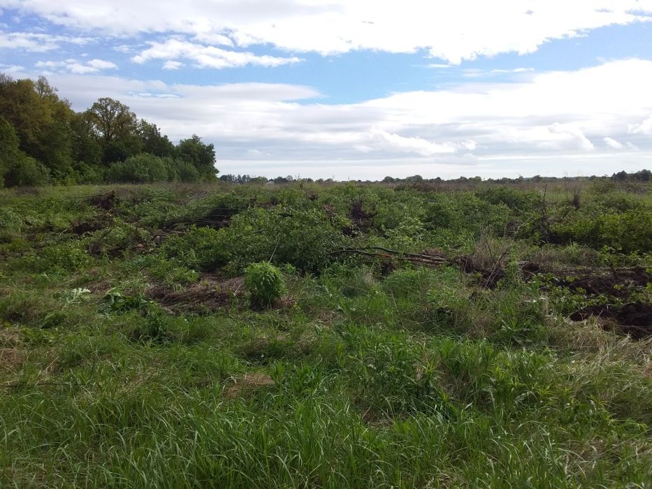 Послуги з  розчищення  ділянок,корчування пнів.