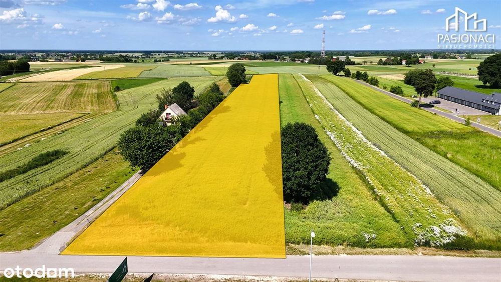 Kompleks działek usługowych Bogucin 11km od Lublina - Widok 5