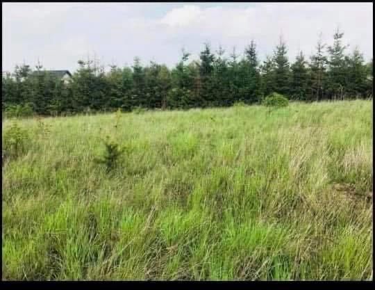 Działka budowlana Połupin