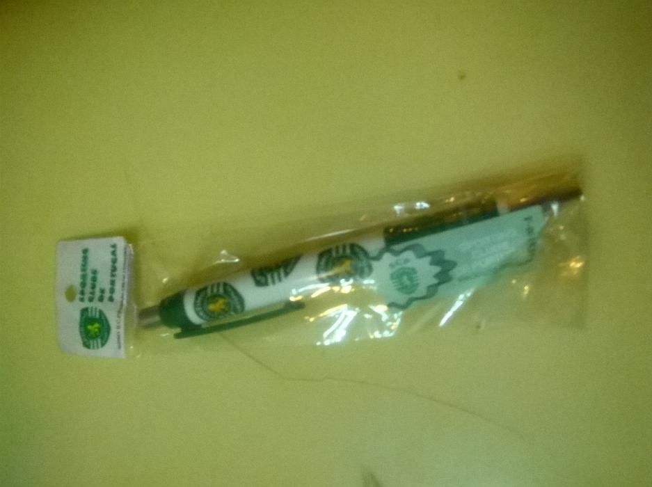 Porta-chaves (2) e Esferográfica SCP