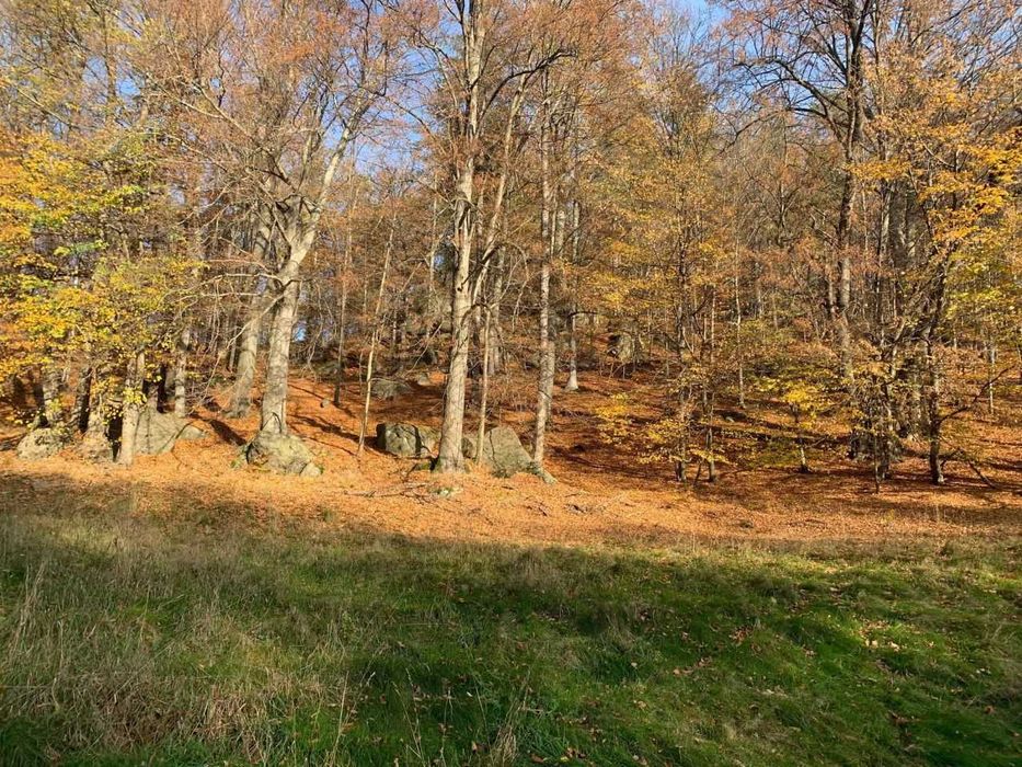 Działka budowlana Staniszów - Widok 4
