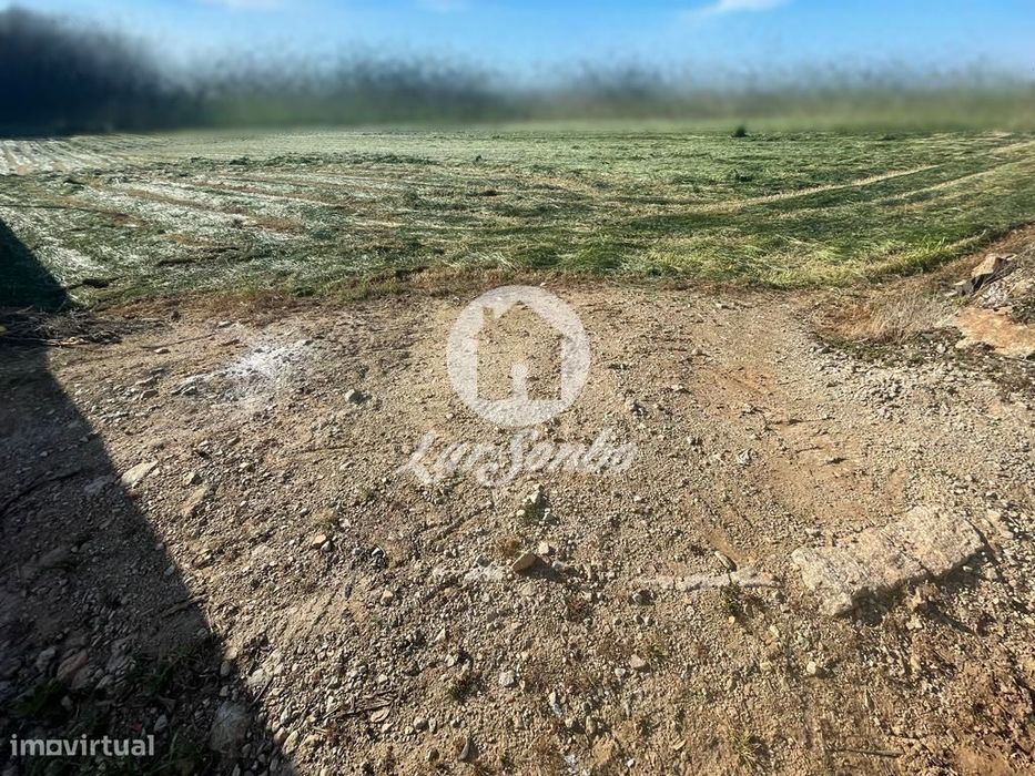 Plot of land for residential construction with a total area of 2600 m2 in A...
