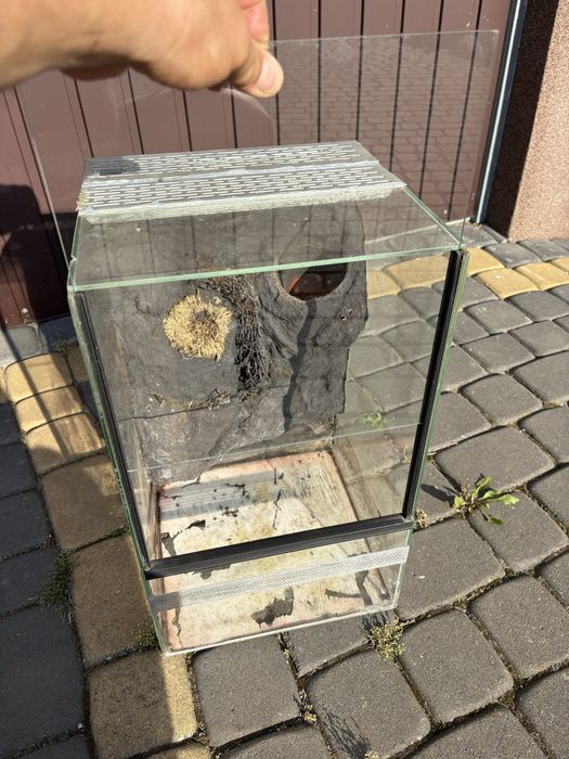 Terrarium dla gada 50x30x30 z siatką