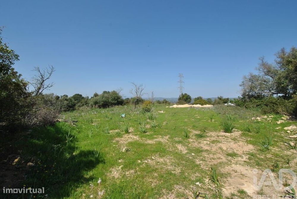 Terreno Agrícola em Paderne