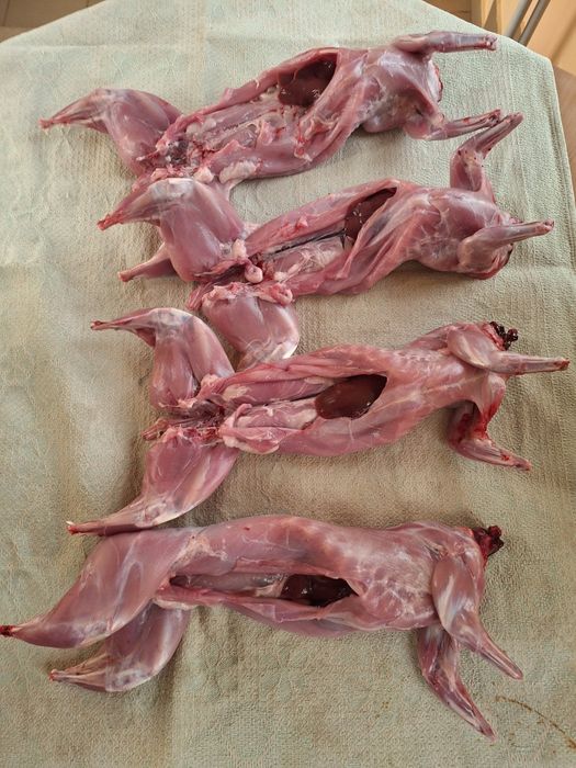 Продам мясо кролика и нутрии