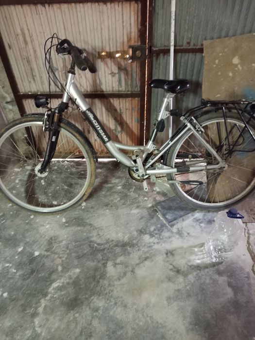 Bicicleta genero pasteleira