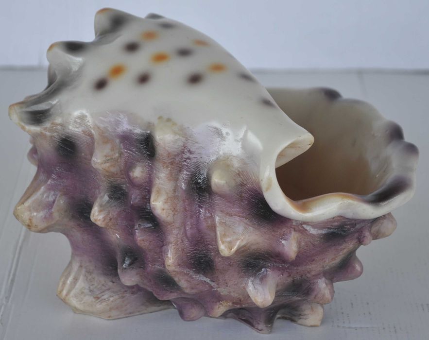 Nawilżacz Powietrza w Kształcie Muszli Generator Pary Powystawowy!