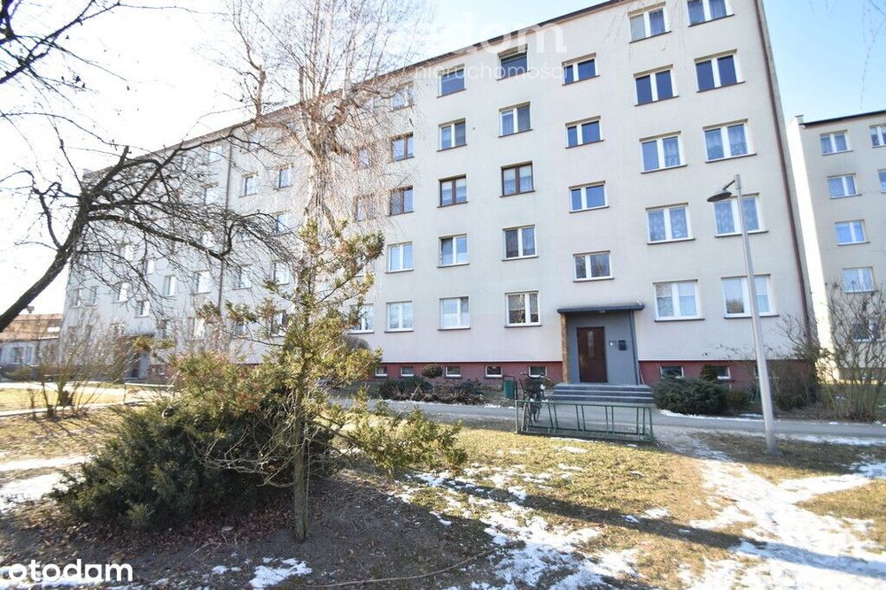 Komfortowe mieszkanie w spokojnej okolicy.